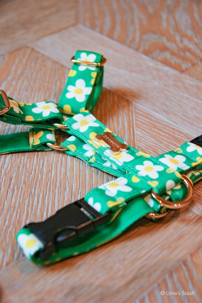 Picnic H - harness - Ume's Stash