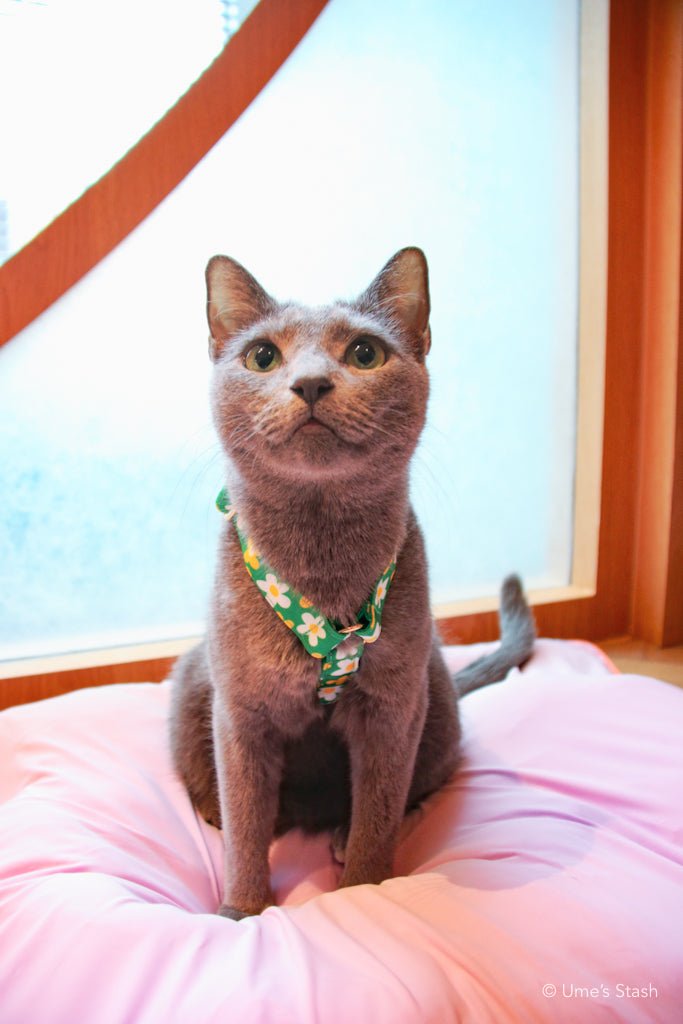 Picnic H - harness - Ume's Stash