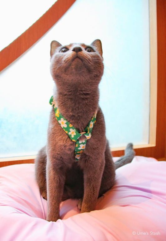 Picnic H - harness - Ume's Stash