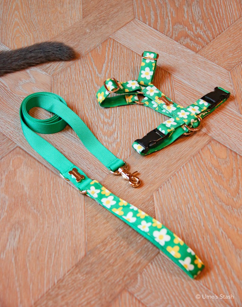 Picnic hand leash - Ume's Stash