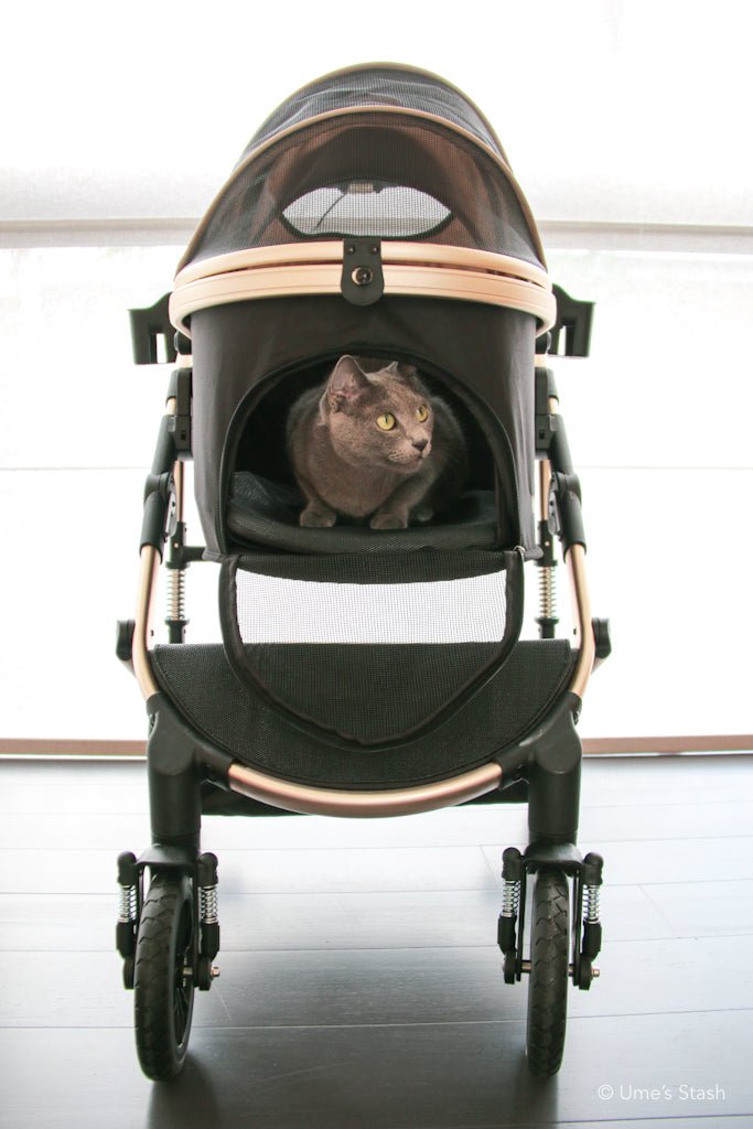 Pumpkin pet stroller (Merlie MW5) - Merlie - Pet stroller