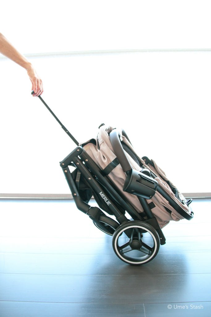 Pumpkin pet stroller (Merlie MW5) - Merlie - Pet stroller