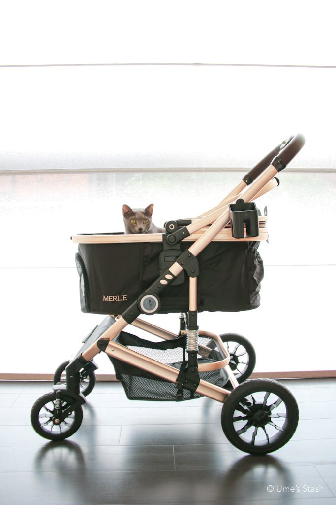 Pumpkin pet stroller (Merlie MW5) - Merlie - Pet stroller