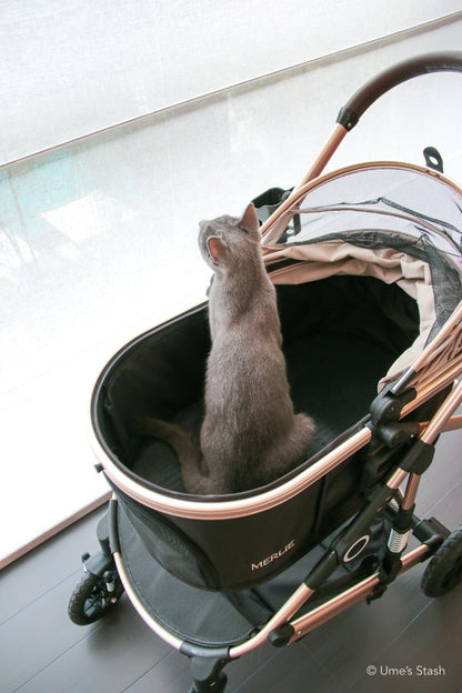 Pumpkin pet stroller (Merlie MW5) - Merlie - Pet stroller