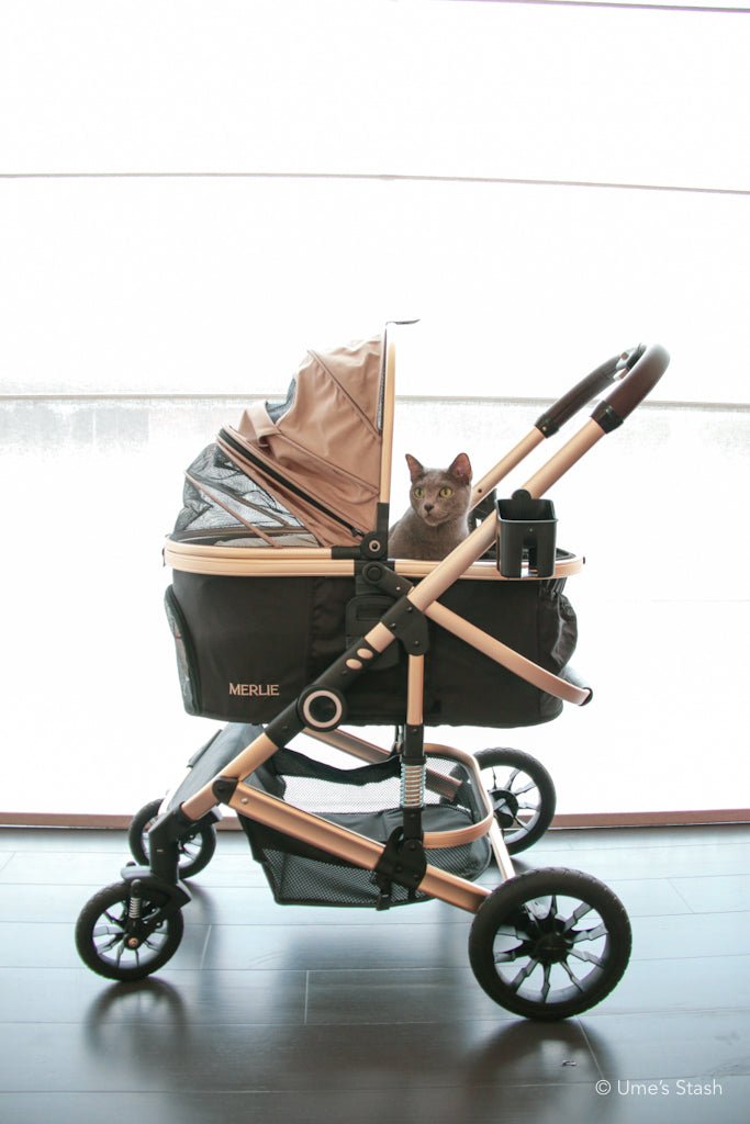 Pumpkin pet stroller (Merlie MW5) - Merlie - Pet stroller