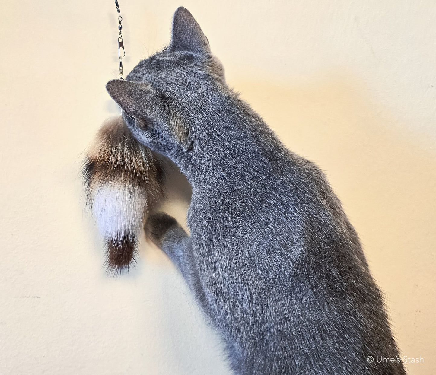 Raccoon tail wand attachment - Ume's Stash