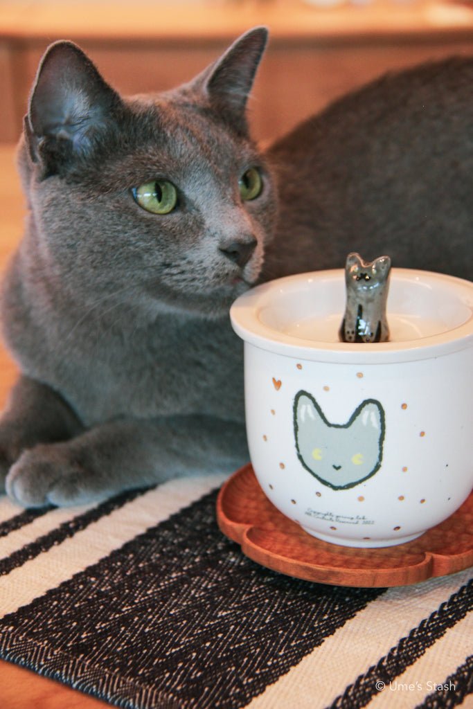 Sidekick mug and matching lid - Gorong Lab - Cat themed drink ware