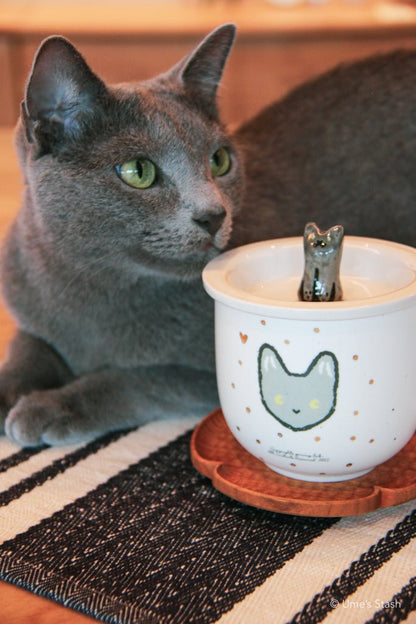 Sidekick mug and matching lid - Gorong Lab - Cat themed drink ware