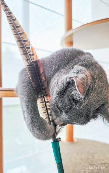 Silkie feather wand toy - Ume's Stash