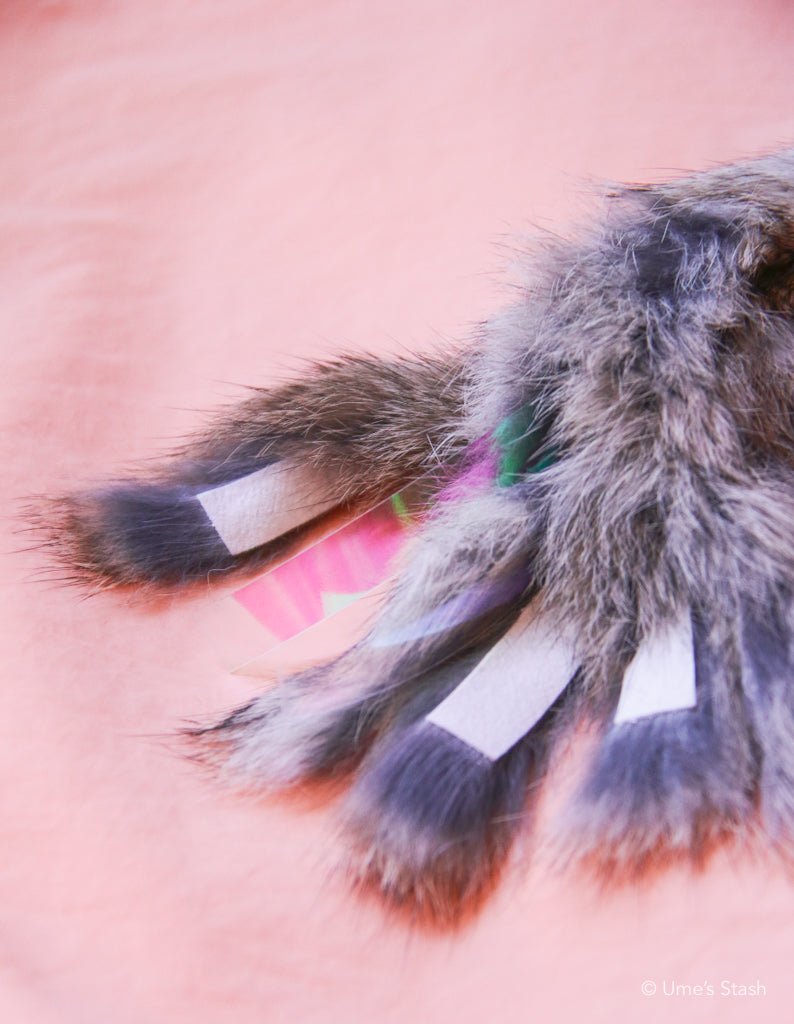 Sparkly Jellyfish Toy - Ume's Stash - Best cat toy