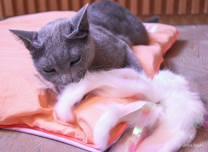 Sparkly Jellyfish Toy - Ume's Stash - Best cat toy
