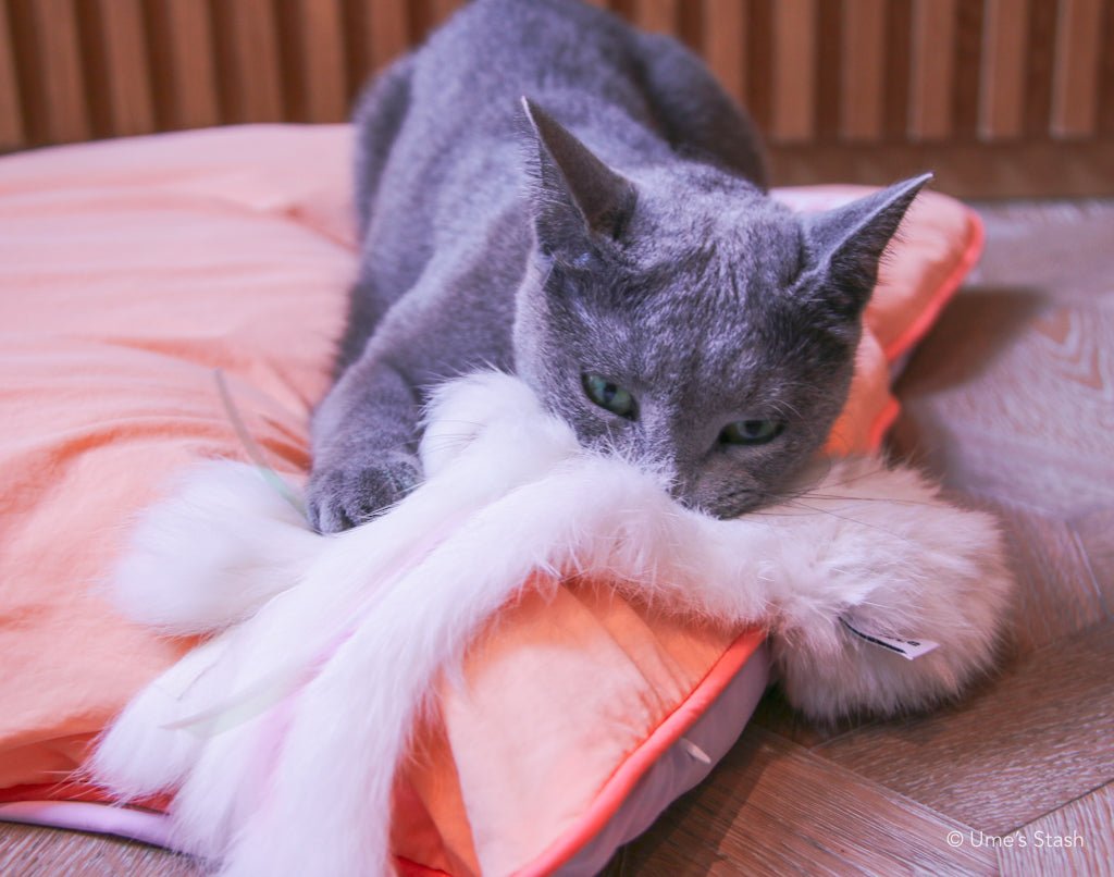 Sparkly Jellyfish Toy - Ume's Stash - Best cat toy