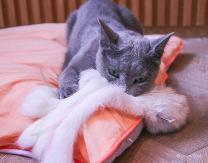 Sparkly Jellyfish Toy - Ume's Stash - Best cat toy
