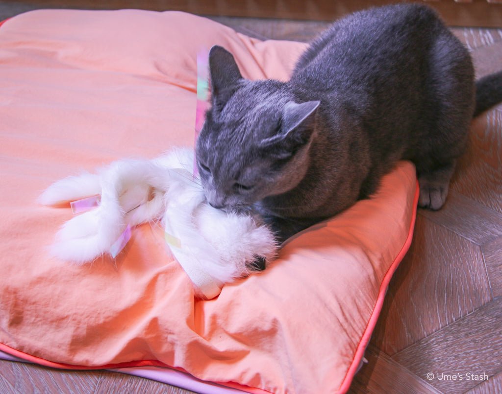 Sparkly Jellyfish Toy - Ume's Stash - Best cat toy