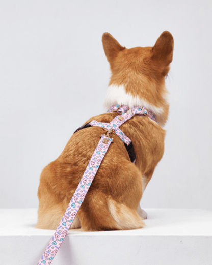 Spring hand leash - Ume's Stash