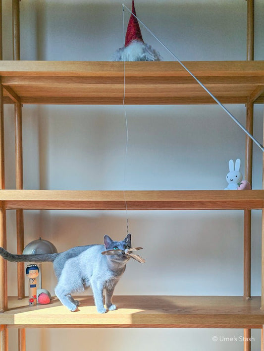 Tornado feather wand attachment - Ume's Stash