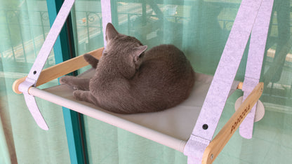 Graphite hammock bed