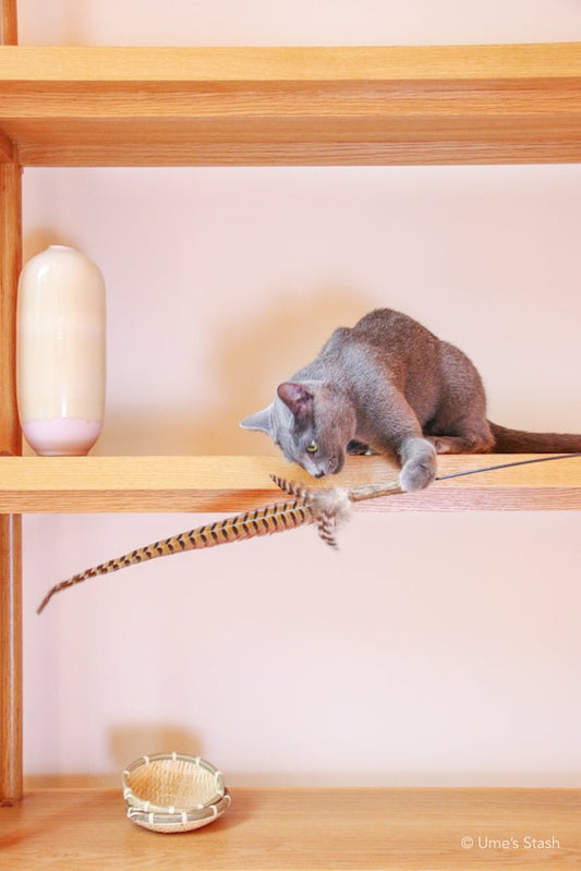 Bamboo ultra-long cat teaser - Ume's Stash
