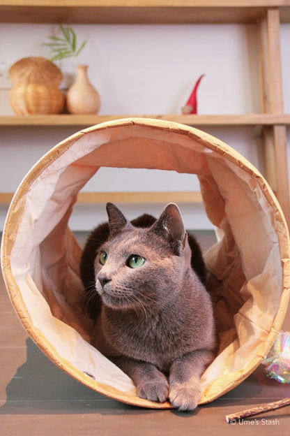 Batard cat tunnel - Ume's Stash