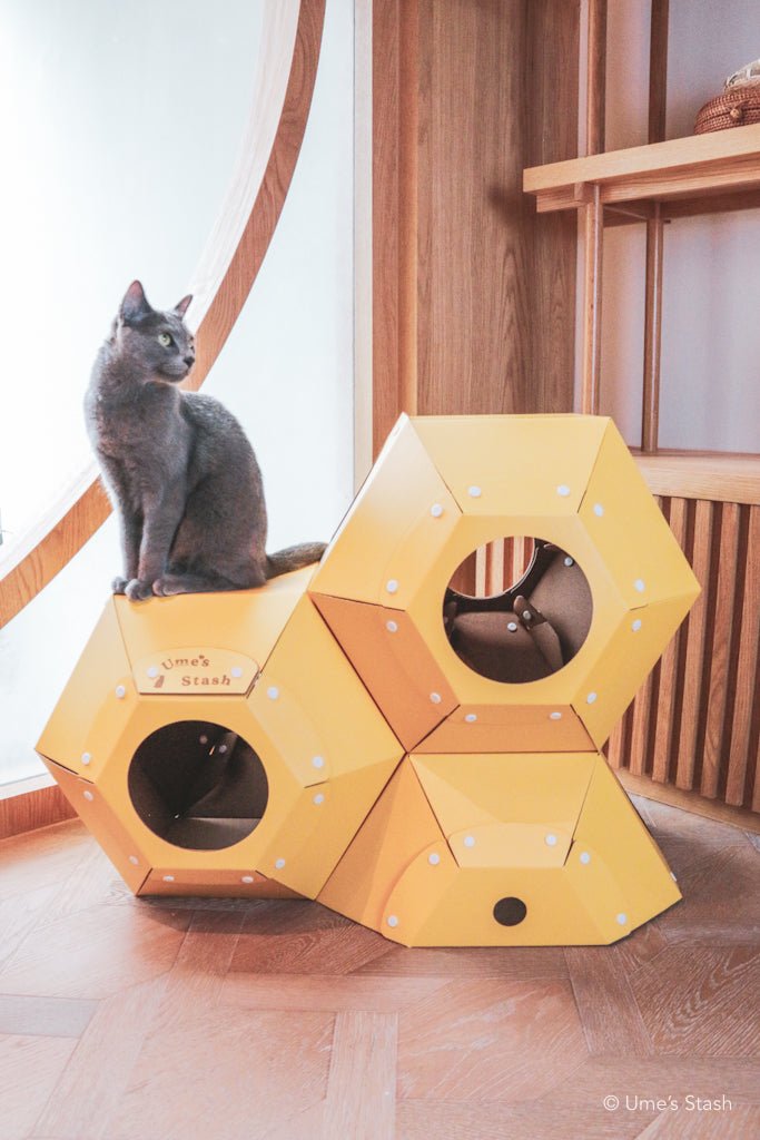 Modular cardboard hotsell cat house