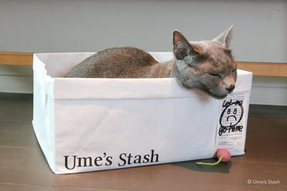 Laundry basket bed - Ume's Stash