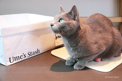 Laundry basket bed - Ume's Stash