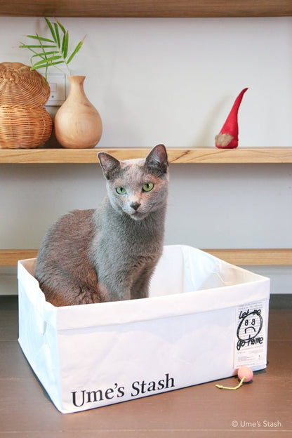 Laundry basket bed - Ume's Stash