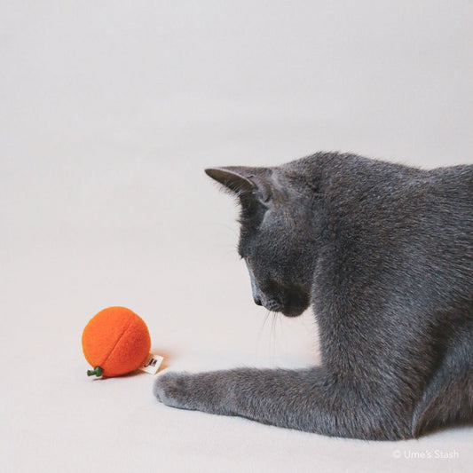 Mandarin orange toy - Ume's Stash