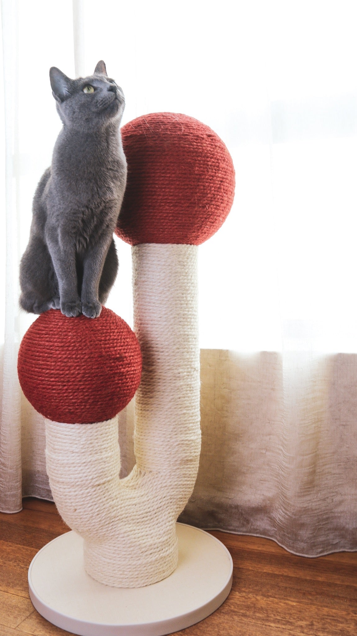 Maple scratching post - Ume's Stash