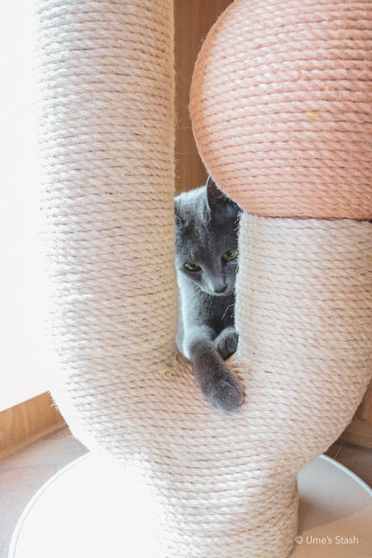 Maple scratching post (Spring pink) - Ume's Stash