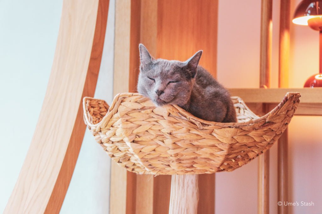 Cat on sale basket tree