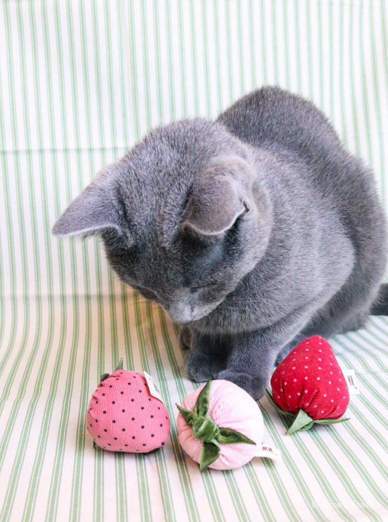 Strawberries - Ume's Stash