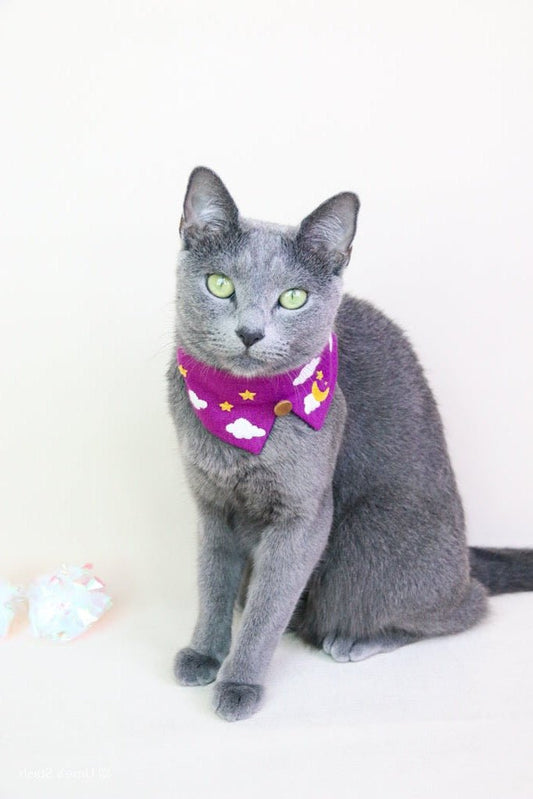 Twilight pet collar (four colours) - Ume's Stash
