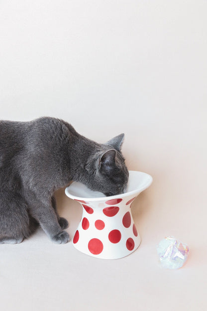 Yayoi food bowl - Ume's Stash