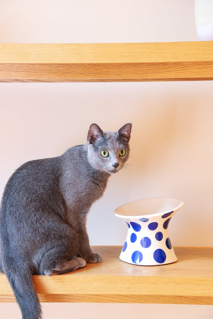 Yayoi food bowl (Autumn red / Winter blue) - Ume's Stash